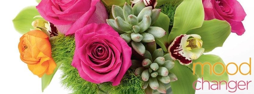 Why Buying Flowers for Yourself Is More Than a Luxury — It’s Self-Care Backed by Science