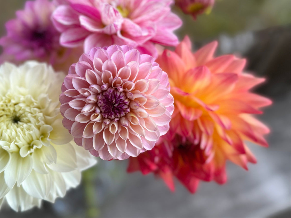 Making Your Flowers Last…